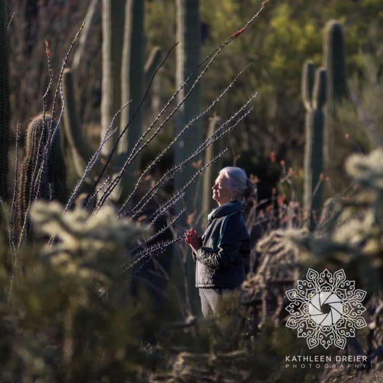 04/16/16_StandingWithSaguaros_SunriseOpener _KathleenDreierPhoto